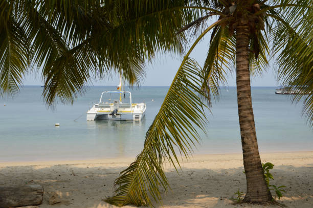 Exploring Roatan: A Tropical Paradise with Stunning Beaches, Rich Culture, and Diverse Communities